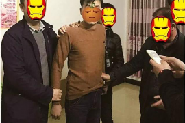 难产的孩子讨债：揭秘企业债务危机下的生存之道