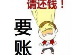 南阳九星讨债公司：专业高效的债务追收服务