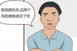 证大财富小额催收：解读其重要性及实际操作